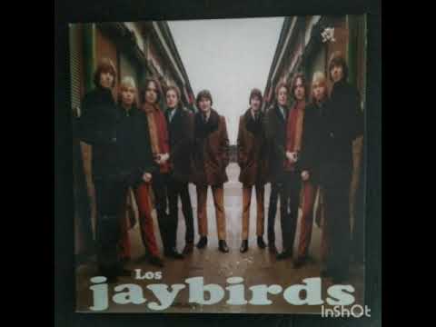 Los Jaybirds artwork