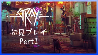 【Vtuber/バ美肉】猫が活躍する3D探索アクション Strayをプレイ　Part1【猫も小判、猫のいる諺って、なんか猫に対してアタリ強くない？気のせい？それじゃあ、脱出の旅の始まりだ！】