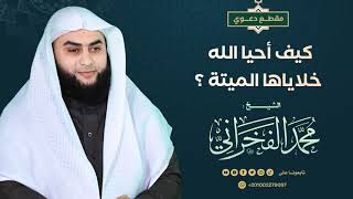 كيف أحيا الله خلاياها الميتة ؟! - الشيخ.محمد الفخراني