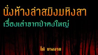 นั่งห้างล่าสมิง มหิงสา | เรื่องเล่าจากป่าดงใหญ่