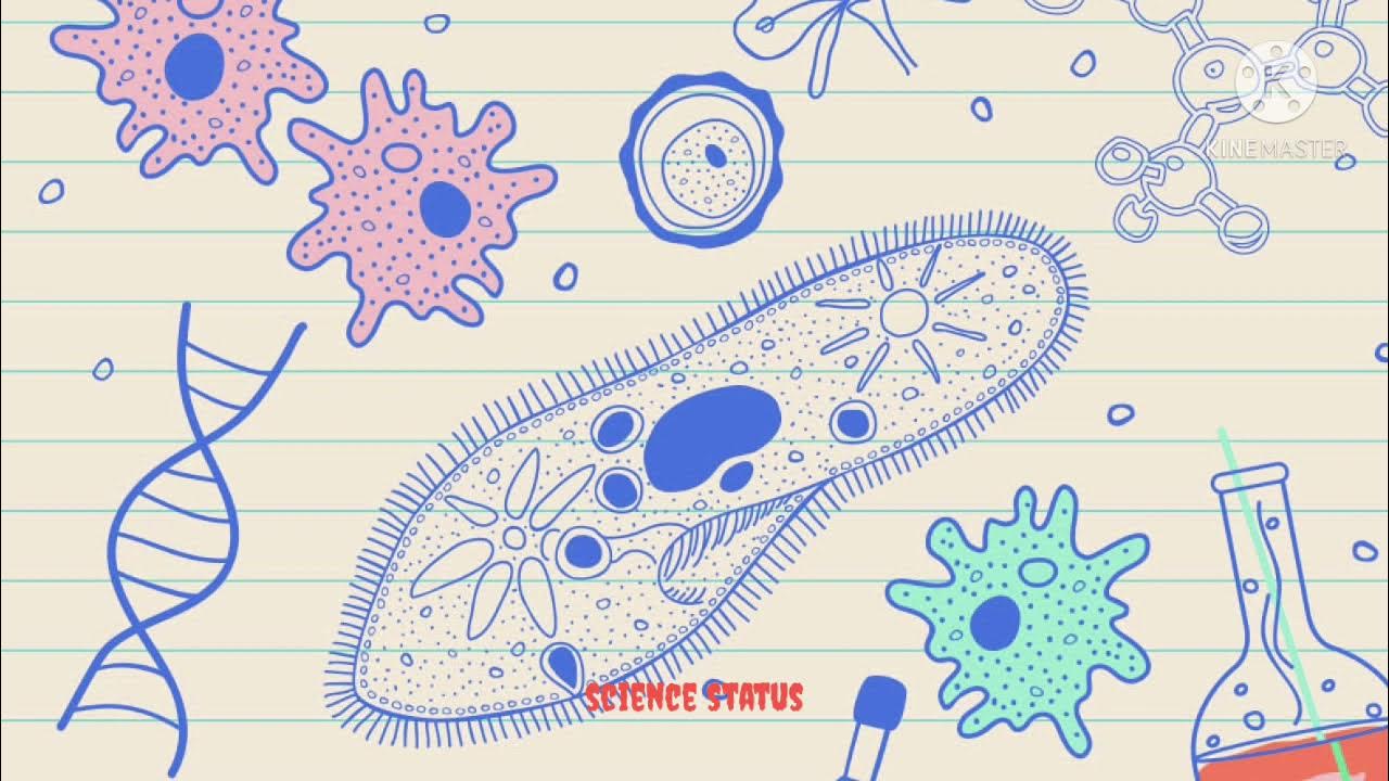 Картинки КАКИЕ ОТРАСЛИ НАРОДНОГО ХОЗЯЙСТВА ИСПОЛЬЗУЮТ БИОТЕХНОЛОГИИ