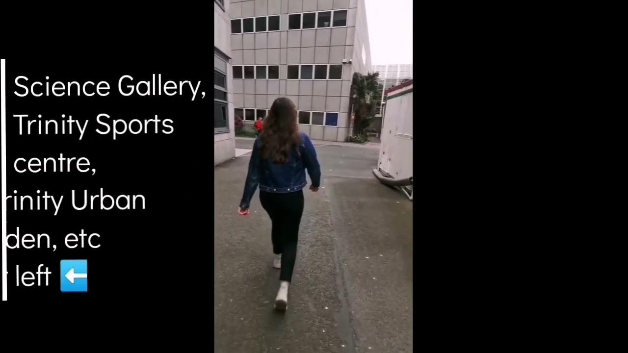 Directions to the Hamilton Library from College Park YouTube