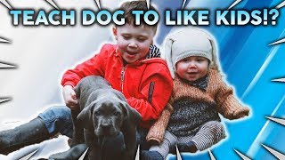 How To Teach Your Dog TO LIKE YOUR CHILDREN!