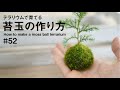 テラリウムで育てる苔玉の作り方｜How to make a moss ball terrarium #52