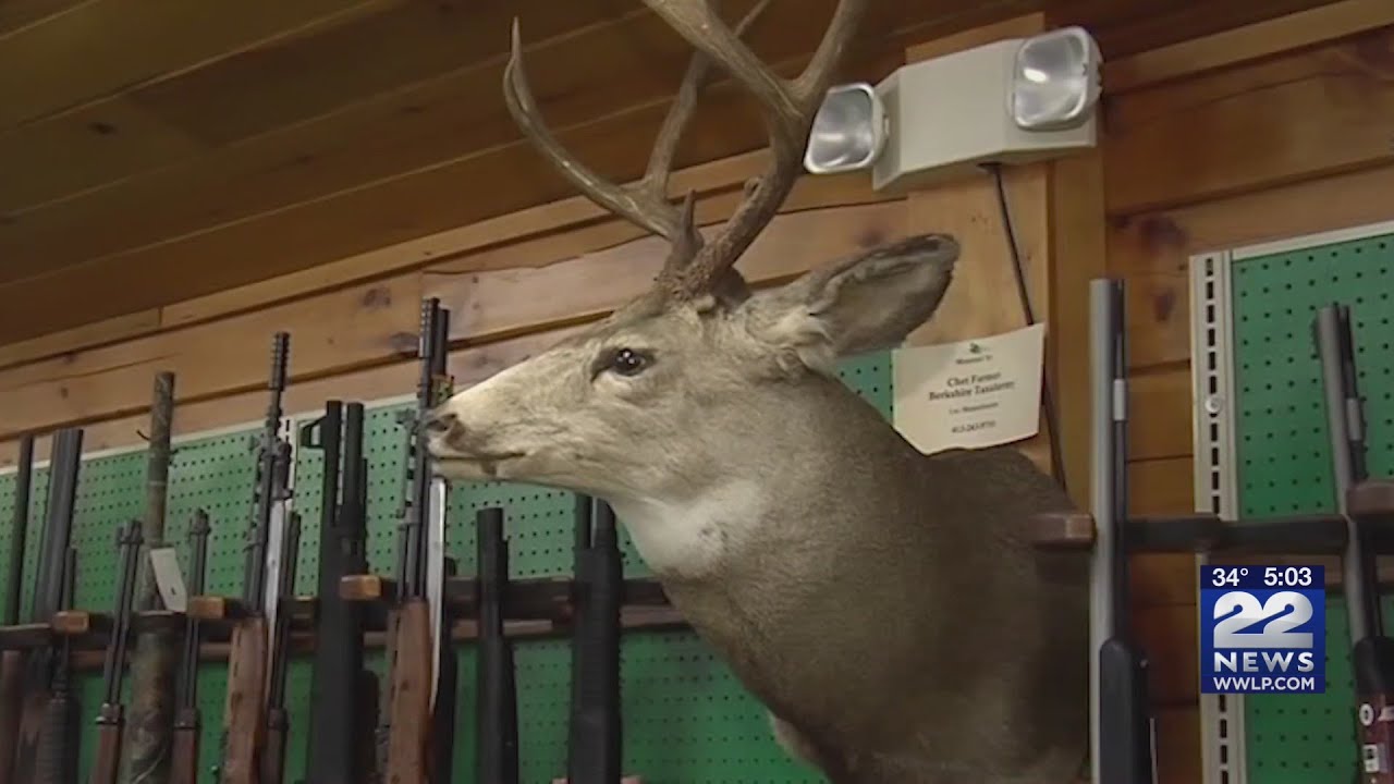 First day of shotgun deer season YouTube