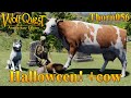 Halloween cow  wolfquest anniversary edition