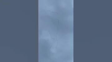 Лебеди улетают, на зиму в тёплые края так красиво