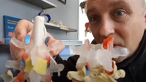 Crepitus, Sound and Manipulation - Joint Science