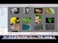 iPhoto Organizing with Events and Albums