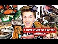 Meet All of My Pets! I Have 50+ Exotic Animals! *2019* | Tyler Rugge