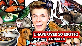 Meet All of My Pets! I Have 50+ Exotic Animals! *2019* | Tyler Rugge