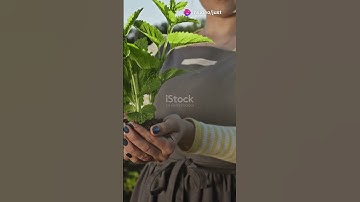 Can You Solve This Riddle? 🤔