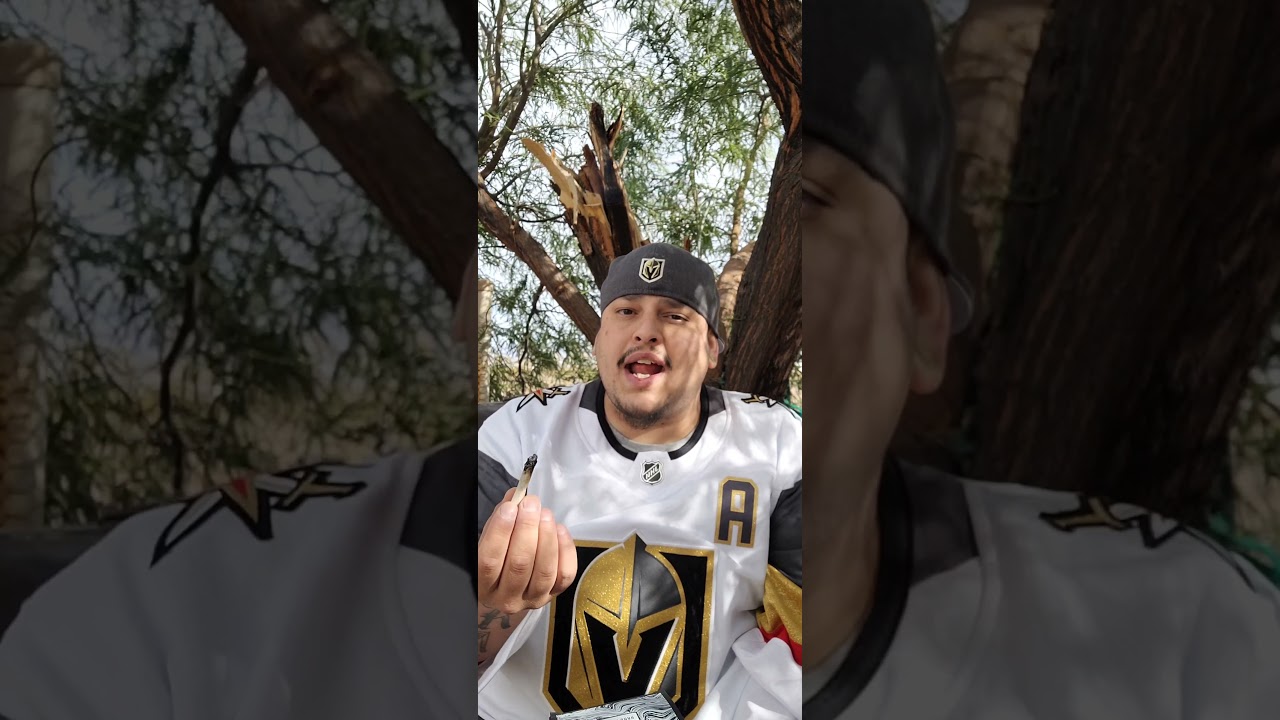 Garcia Hand Picked Review (Daily Grapes Hybird) 