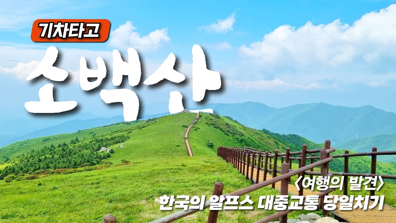 기차 타고 90분에 만나는 알프스 풍경 당일치기 - 단양 마늘 순대