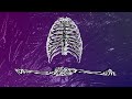 OSVISS - Oxygen [OFFICIAL LYRIC VIDEO]