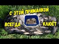 Самодельная насадка для рыбалки показывает отличный результат