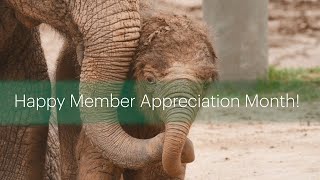 Happy Member Appreciation Month!