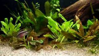 20100116 073.avi