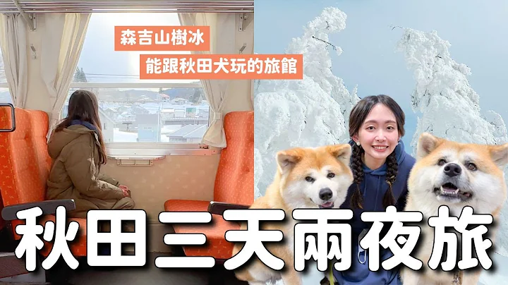 日本東北 秋田三天兩夜深旅行｜能跟秋田犬玩的溫泉旅館 森吉山珍貴樹冰 秋田內陸鐵道乘車 蕎麥麵製作體驗 工藝品DIY 美食美酒 歷史文藝景點 秋田獵人文化｜4K VLOG - 天天要聞