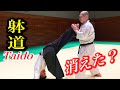 TAIDO, The Body disappears, the Kick appears! 【躰道】消える身体！飛び出す蹴り！