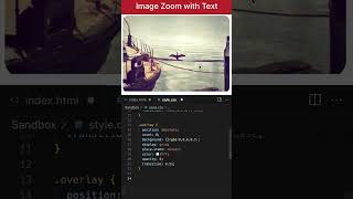 Image Zoom + Dark Overlay + Text (🔥 Portfolio Favorite) HTML and CSS #shorts