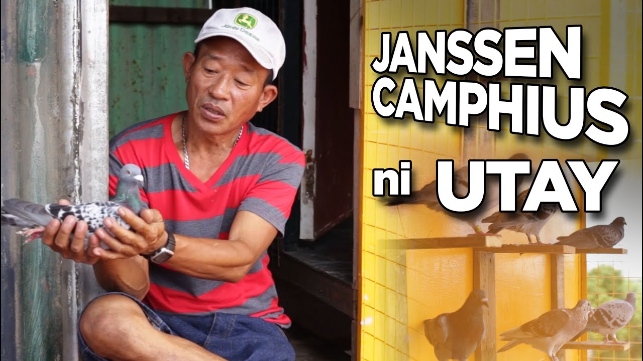 JANSSEN CAMPHIUS ni UTAY ng DASMA CAVITE