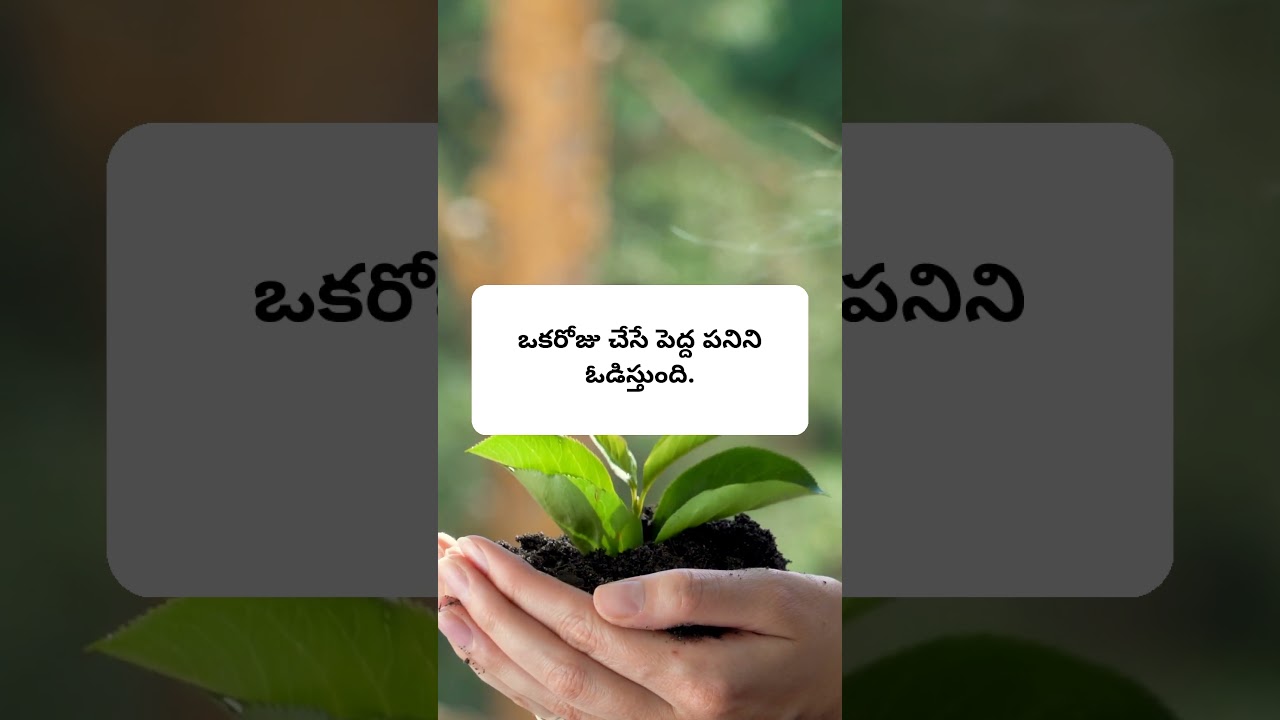 Nobody Sees Your Struggle Until You Win | Real Life Motivation | MOTIVATIONAL STORIES