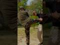 How to counter aggressive straight centre line attack | military unarmed combat training #specialtrg