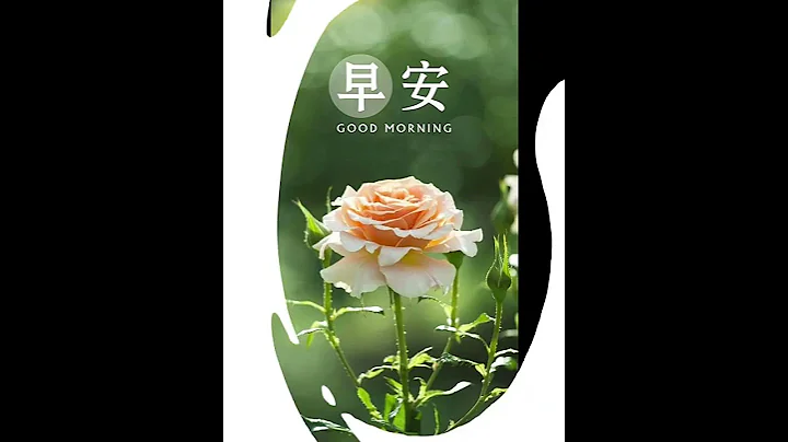 … - 天天要聞