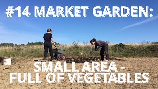 #14 Market Gardening: small area - full of vegetables