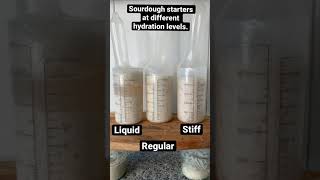 CO2 Monsters: Liquid vs. Regular vs. Stiff Sourdough Starter