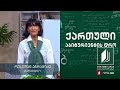 ქართული, აბიტურიენტის დრო - ჯემალ ქარჩხაძის იგი, მეორე გაკვეთილი #ტელესკოლა