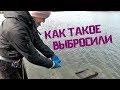 КАК ТАКОЕ выбросили!? Улов с МАГНИТОМ на станичном пляже! Продолжаю собирать на копмобиль)!!