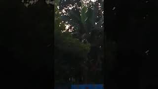 Alam Dan Isinya Oleh Rhoma Irama darwono3394