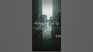 سورة المائدة بصوة الشيخ سعد الغامدي