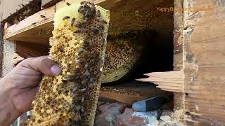 Could This Happen To Your Home ? by Yappy Beeman    12,300 views 4 months ago 17 minutes