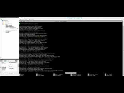 Vídeo Aula - Comandos Básicos no Ambiente Shell - Linux - Estudo Dirigido FAGOC