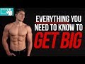 BULKING 101 | Calories, Macros, Weight Gain Targets, Intermittent Fasting, EVERYTHING!