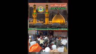 Hasnain karimain | shorts shorts | Ya Husain | Karbala Status 2024 | sabrinetwork