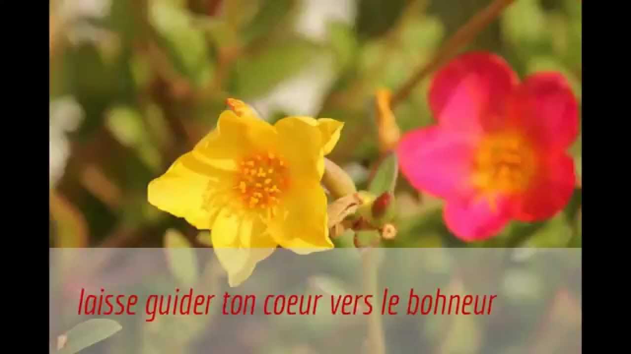 laisse toi guider - YouTube