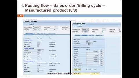 S4 HANA COPA Presentation