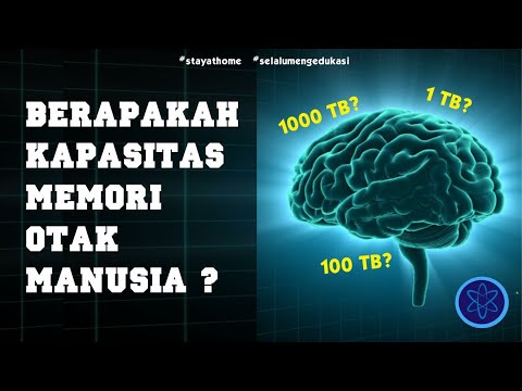 Berapakah Kapasitas Memori Otak Manusia ?