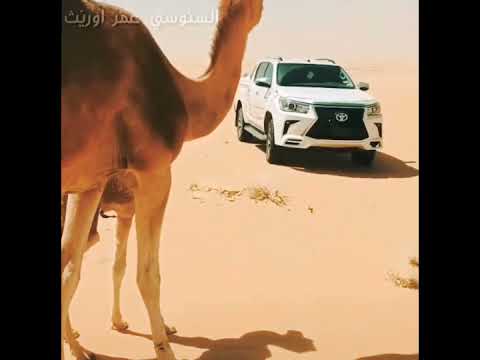 يا انويرتي حازوا كحيل اعيونه عوض المالكي 