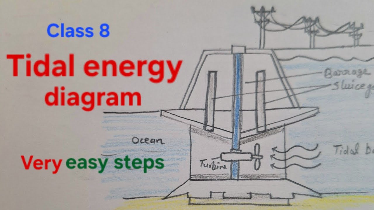 Simple Tidal Energy Diagram