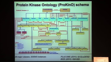 Modeling complex signaling systems using semantic web applications- Natarajan Kannan