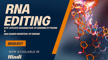 RNA Editing | Hindi | Site Specific Deamination & RNA Guided Insertion of Uridine | Molecular Bio.