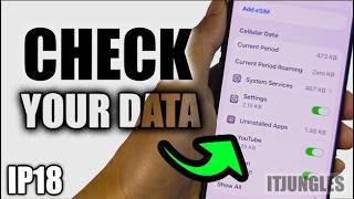 Full How to Check Cellular Data Usage on iPhone 18/18 Pro Max (Fix Missing Menu) News