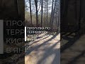 Прогулка по терренкуру Кисловодска в январе #кисловодскийпарк #кисловодск