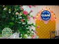 Giani Ice cream 🍨| Best ice cream outlet in bhopal
