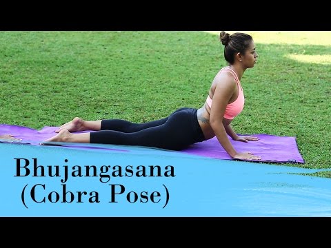 How to do Bhujangasana {The Cobra Pose} | Swami Ramdev - YouTube